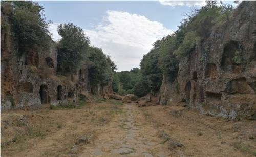 L'avanzata delle foreste ai margini dell'antica Via Amerina a Fabrica di Roma, in provincia di Viterbo