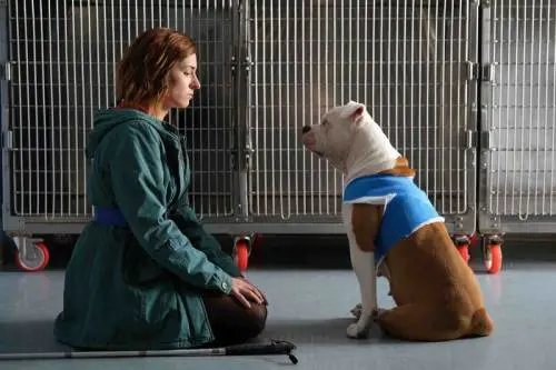 Una donna cieca entra in polizia. Su Rai Uno c'è la storia di Blanca