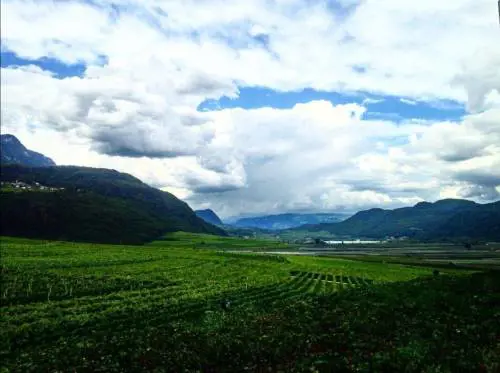Paesaggio agricolo a Termèno sulla Strada del Vino (Bolzano)