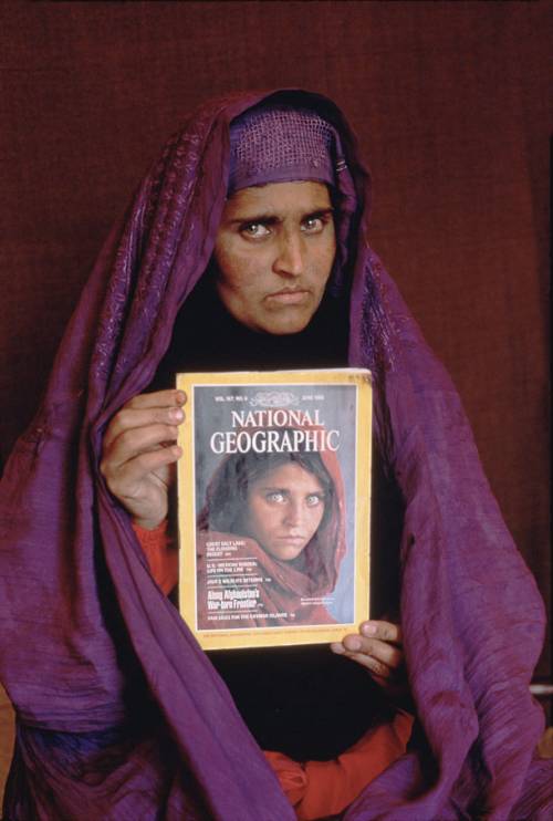 La "ragazza afghana" di McCurry è salva. Da Kabul a Roma grazie a Palazzo Chigi