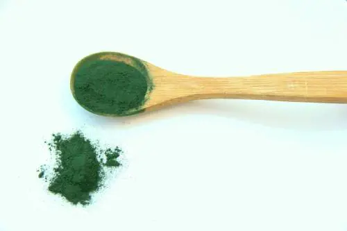 Alga spirulina: proprietà e perché fa bene a 60 anni