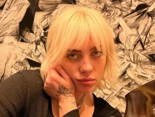 Billie Eilish: "Ecco perché ho perso 100mila follower"