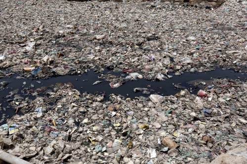 Non solo “bla bla bla”: i risultati concreti raggiunti sull’ambiente