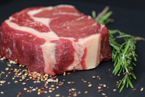 La carne coltivata in laboratorio: bistecche in vendita a 10 dollari