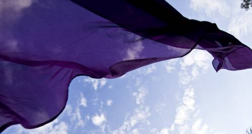 Che tristezza il ritorno del fu popolo viola