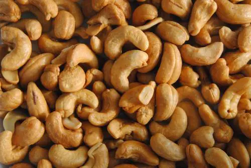 Anacardi, ne bastano 30 grammi per ritrovare il benessere
