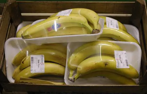 Dal 14 gennaio stop alla plastica monouso: multe da 25mila euro