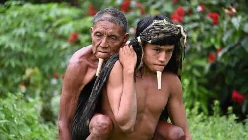 Se Enea e Anchise rivivono nella foresta amazzonica