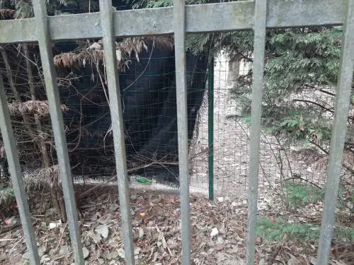 Bottiglie contro i bimbi a scuola. A Milano sicurezza fuori controllo