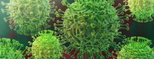 Covid, scoperta una proteina "chiave" negli spermatozoi