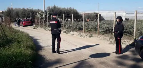 L'eredità e i carciofi: perché è scoppiata la lite della strage in famiglia