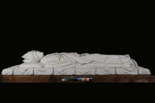 Collegiata di Castiglione Olona: per la prima volta in mostra il curriculum di Branda Castiglioni 