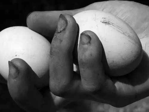 Denis Piel: "Con Down to Earth torniamo a ciò che è importante"