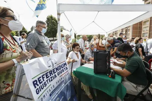 Sì a 5 referendum. No alla droga libera (col giallo cannabis) e alla responsabilità dei magistrati