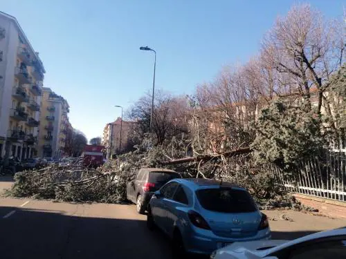 "Ecco perché c’è stata la tempesta di vento"
