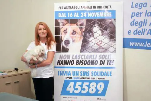 Svolta nella Costituzione: tutela ad ambiente e animali