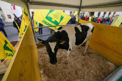 Agricoltori e allevatori contro il caro energia: "Costi insostenibili"