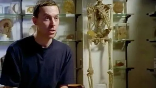 Nickland, ecco come sfuggire al collasso democratico e alle guerre razziali