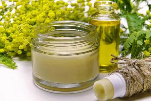Mimosa: proprietà curative e benefici per la pelle dei senior