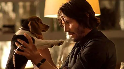 John Wick, la carriera di Keanu Reeves, tra lutti, malattie e soddisfazioni