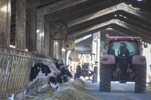 "Addio alla bistecca": l'aumento choc sulla carne