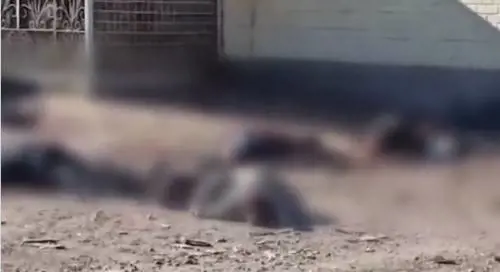 Orrore russo a Chernihiv: ammazzati 10 civili in coda per il pane