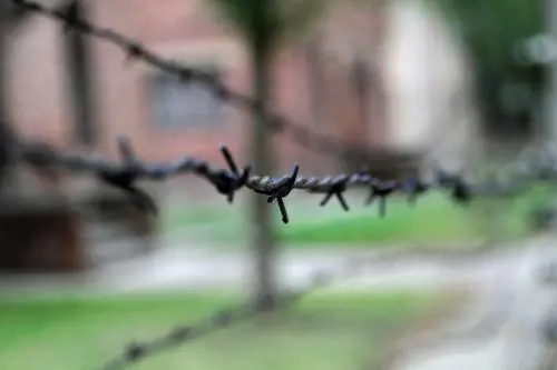Dalle eroine dei ghetti al pugile morto nel lager: il dramma della Shoah riscoperto leggendo