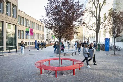 "Avresti una sigaretta?" e stupra una studentessa. Arrestato un marocchino