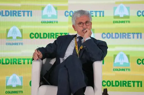 L'affare D'Alema in Parlamento. "Per lui mediazioni senza tetto"