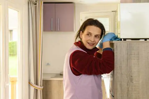 Carrère regista assume la precaria Binoche in bilico "Tra due mondi"