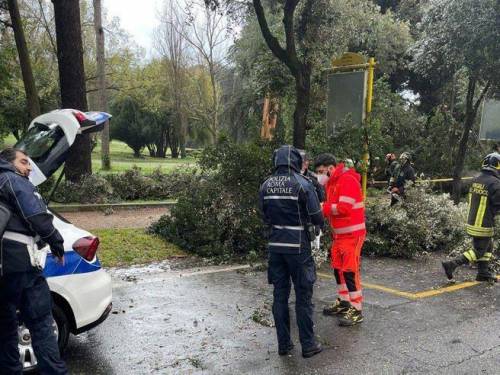 Maltempo a Roma, albero cade su due donne