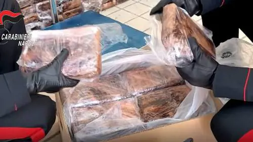 Droga: sequestrati 500 kg di cocaina purissima in un capannone nel Napoletano