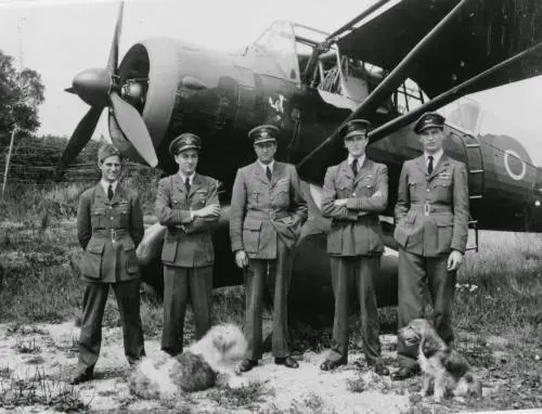 Lysander, l'aereo che traghettava le spie 