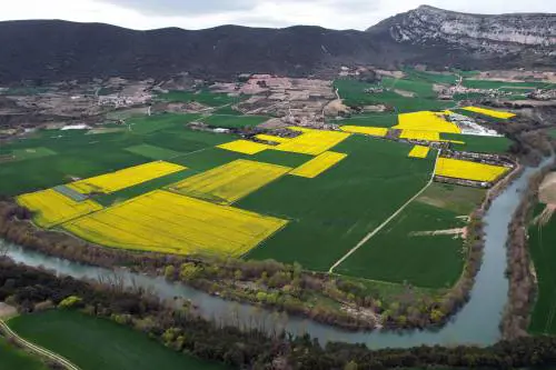 "Gli attacchi russi pure all'agricoltura. L'export è fermo noi non molliamo"