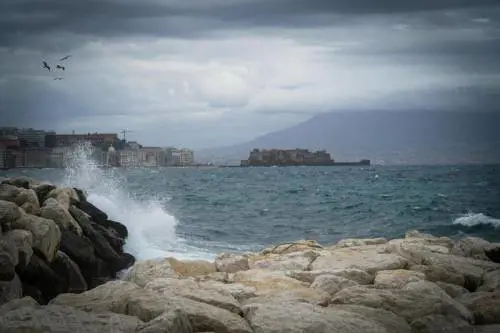 Onda anomala contro aliscafo: paura per i passeggeri