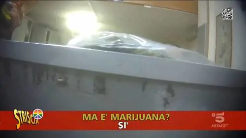 Droga e materiale esplosivo, spedizioni illecite scoperte da Striscia la Notizia