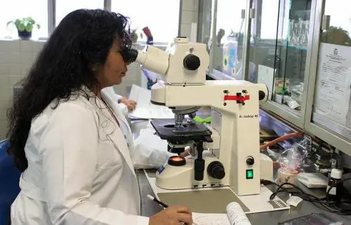Leucemia mieloide acuta, identificate nuove strategie molecolari