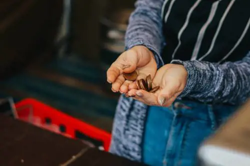 Occhio alla truffa delle monetine: ecco come funziona