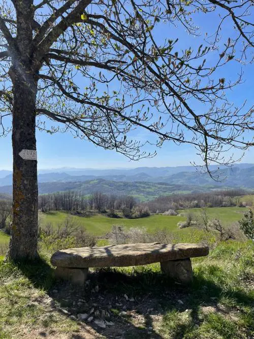 Il Passo della Futa sulla Via degli Dei