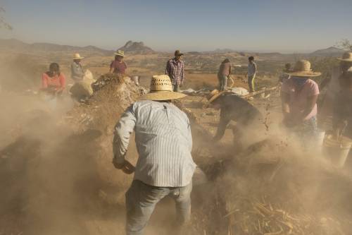 "L'84% del territorio senza acqua": il Paese finito nella morsa della siccità