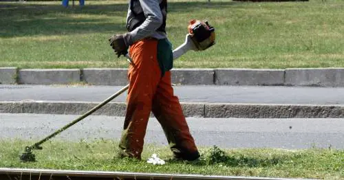 L’eredità dei 5 Stelle: Roma trasformata in una savana
