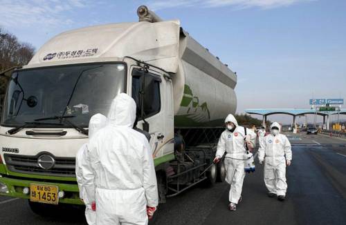 Lo strano caso del Covid: perché è arrivato ora in Corea