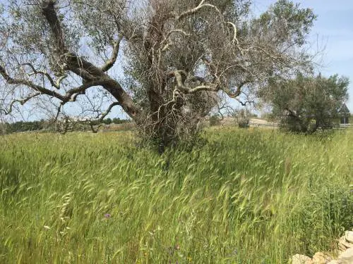 "Il Mediterraneo è un paradiso minacciato da troppi serpenti"