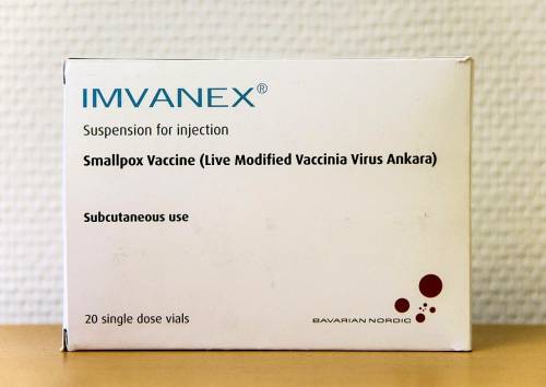 Cos’è Imvanex, il vaccino contro il vaiolo delle scimmie