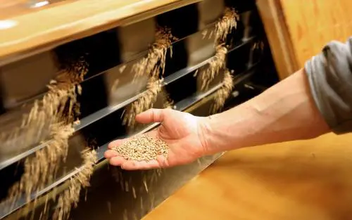 Mosca ricatta sul grano: via libera? Stop a sanzioni