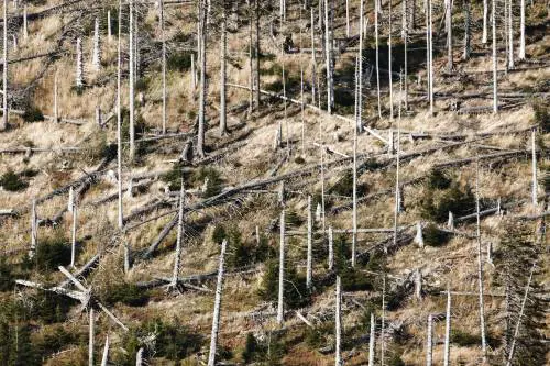 Agricoltura scoperta: il rischio climatico minaccia il 15% del Pil