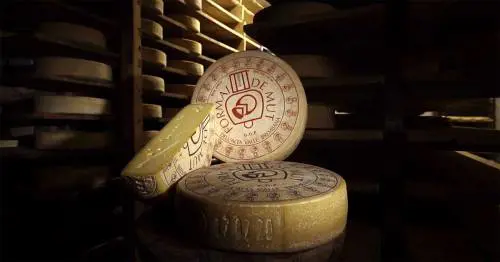 Valle Brembana: luogo di incontro tra gusto, territorio e tradizioni