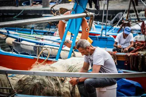 "Addio al pesce fresco". Occhio a cosa arriva sulla nostra tavola