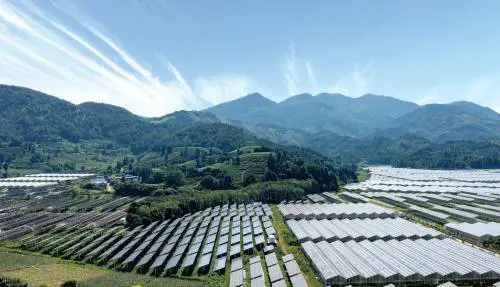 Verde come la Cina che vogliamo