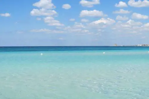 Un gazebo? Fino a mille euro al giorno: il prezzo choc in spiaggia